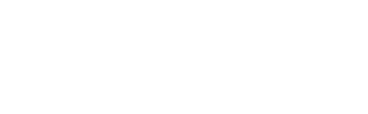 netSEO Ads
